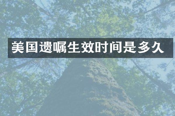 美国遗嘱生效时间是多久