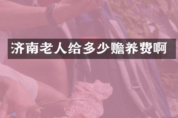 济南老人给多少赡养费啊