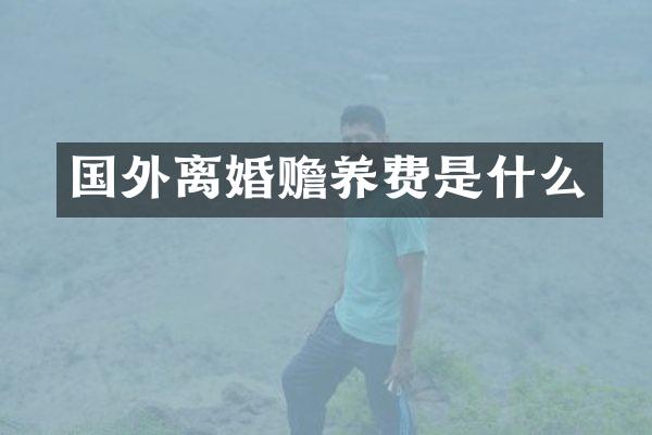 国外离婚赡养费是什么