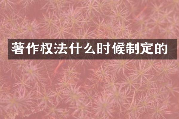 著作权法什么时候制定的
