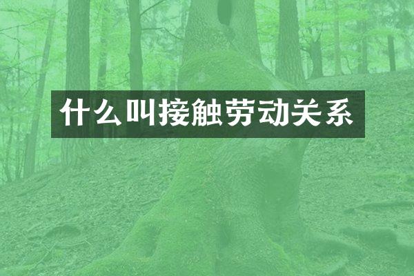 什么叫接触劳动关系