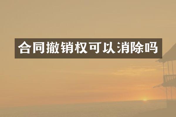 合同撤销权可以消除吗