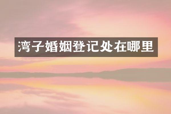 湾子婚姻登记处在哪里