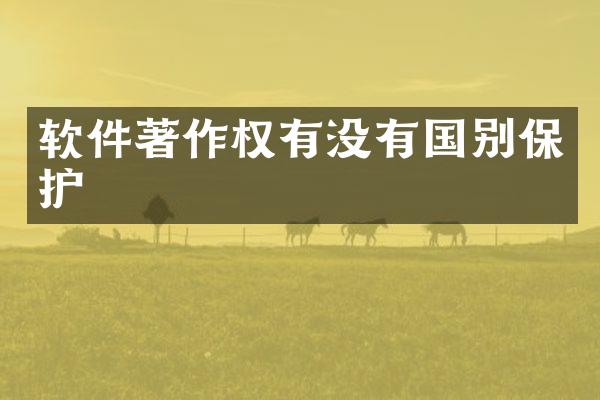 软件著作权有没有国别保护