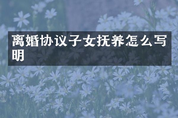 离婚协议子女抚养怎么写明