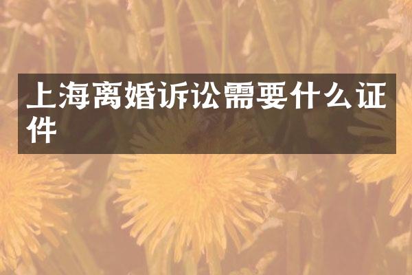 上海离婚诉讼需要什么证件