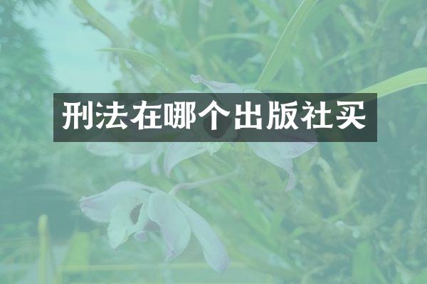 刑法在哪个出版社买