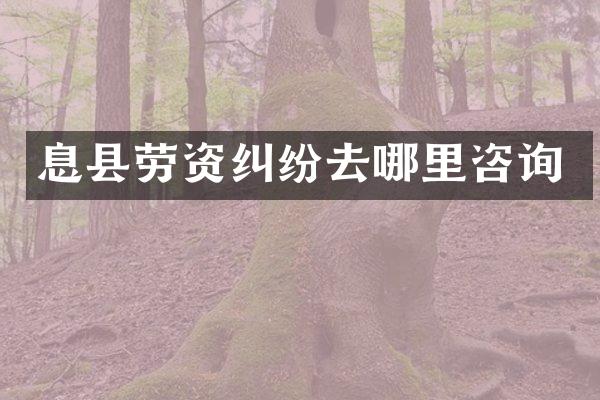 息县劳资纠纷去哪里咨询