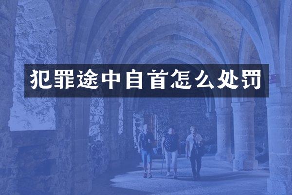 犯罪途中自首怎么处罚