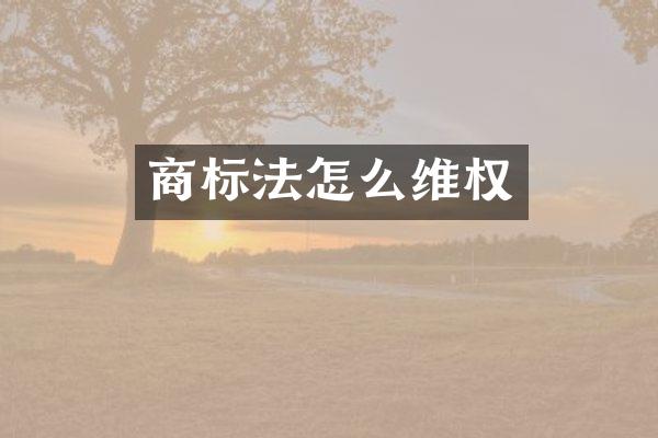 商标法怎么