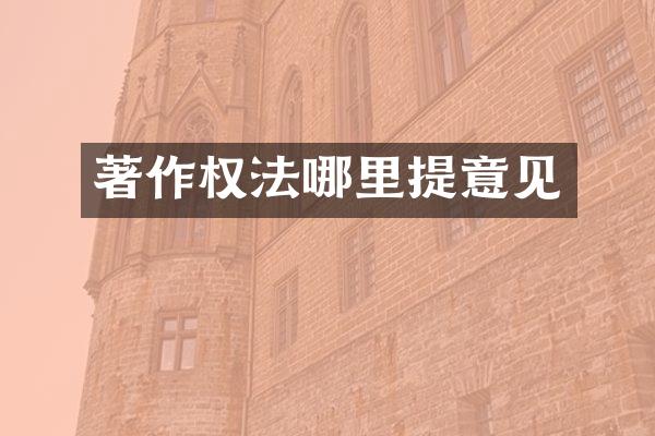 著作权法哪里提意见