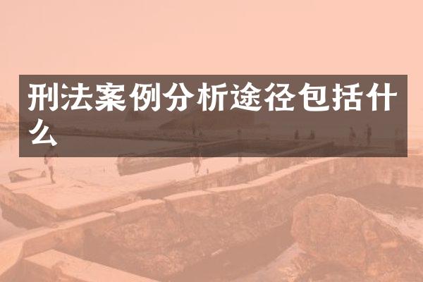 刑法案例分析途径包括什么