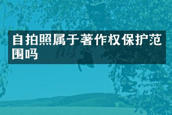 照属于著作权保护范围吗