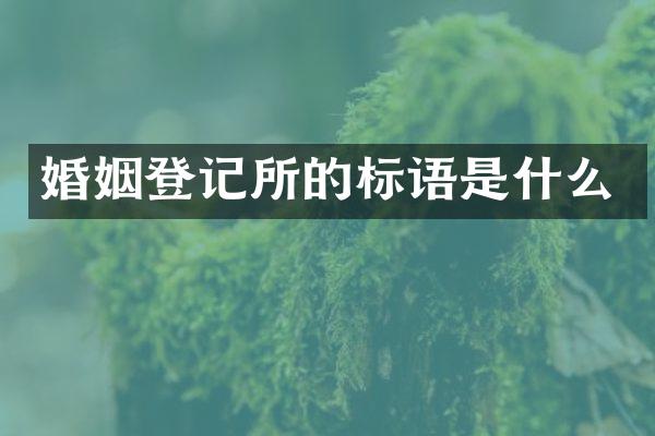 婚姻登记所的标语是什么