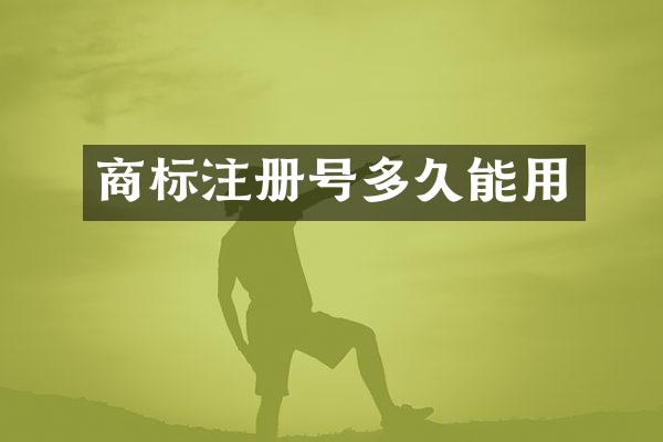 商标注册号多久能用