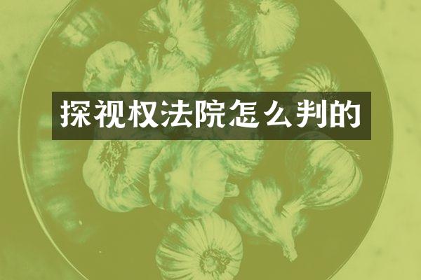 探视权法院怎么判的