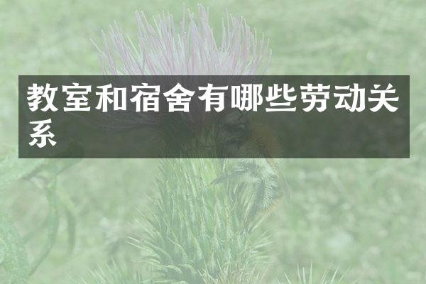 教室和宿舍有哪些劳动关系