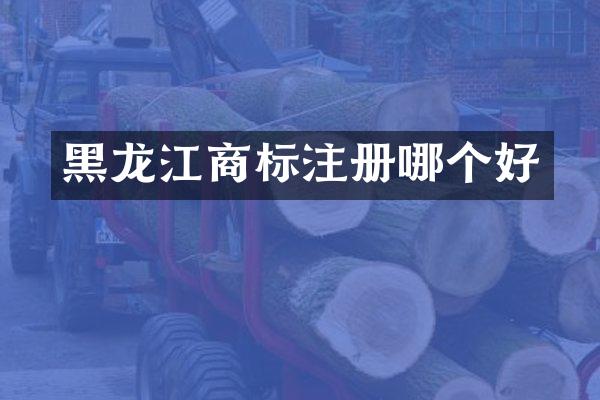 黑龙江商标注册哪个好