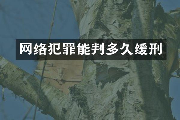网络犯罪能判多久缓刑