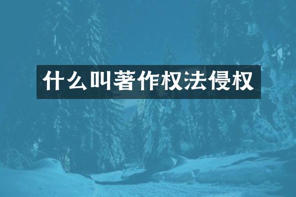 什么叫著作权法侵权