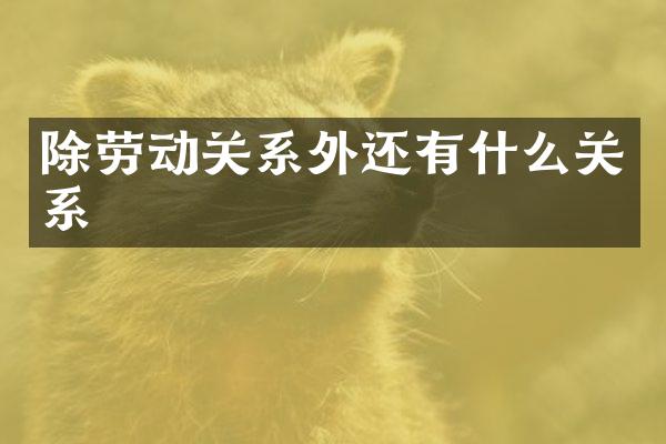 除劳动关系外还有什么关系