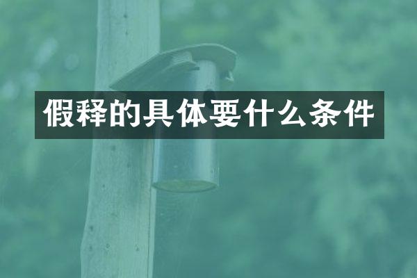 假释的具体要什么条件