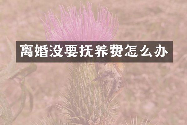 离婚没要抚养费怎么办