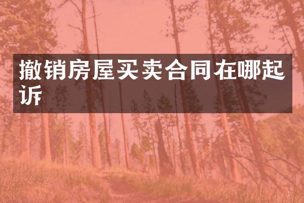 撤销房屋买卖合同在哪起诉