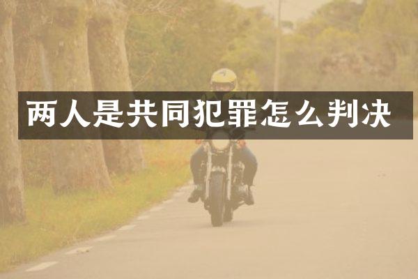 两人是共同犯罪怎么判决