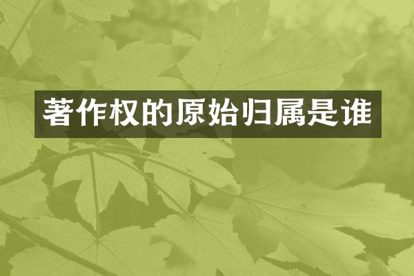 著作权的原始归属是谁