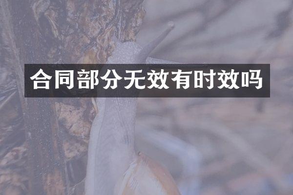 合同部分无效有时效吗