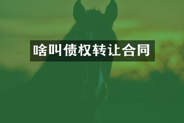 啥叫债权转让合同