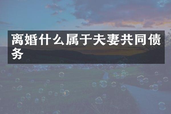 离婚什么属于夫妻共同债务