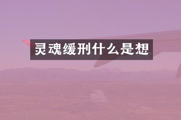 灵魂缓刑什么是想