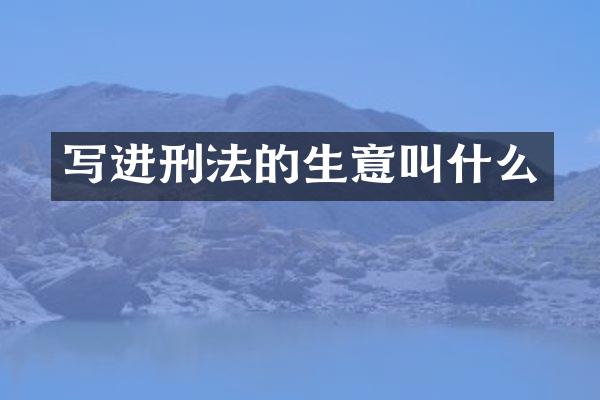 写进刑法的生意叫什么
