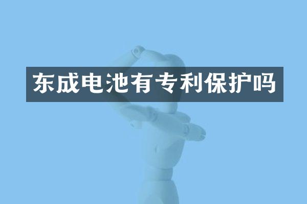 东成电池有专利保护吗
