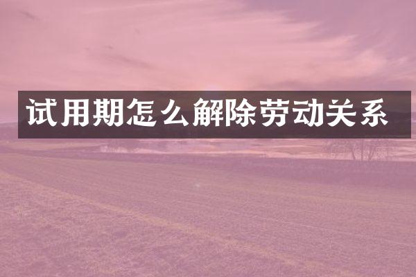 试用期怎么解除劳动关系