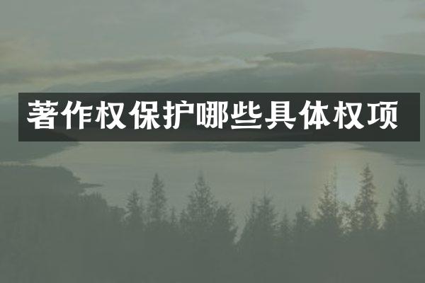 著作权保护哪些具体权项