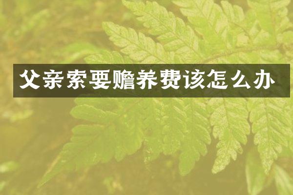 父亲索要赡养费该怎么办