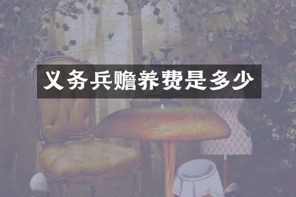 义务兵赡养费是多少