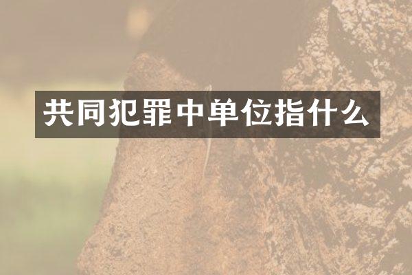 共同犯罪中单位指什么