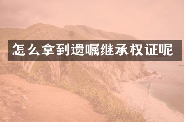 怎么拿到遗嘱继承权证呢