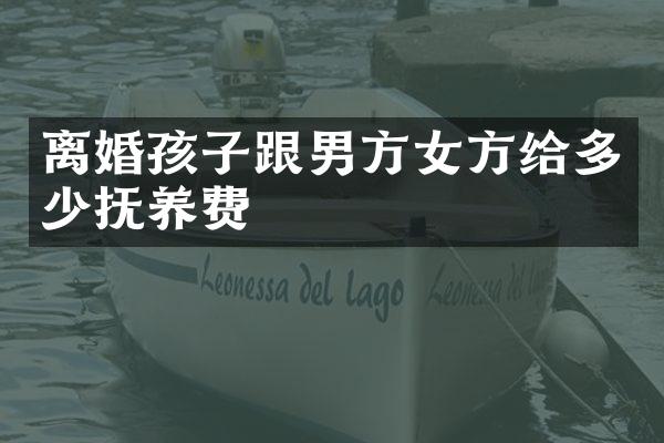 离婚孩子跟男方女方给多少抚养费