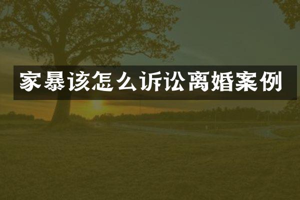 家暴该怎么诉讼离婚案例
