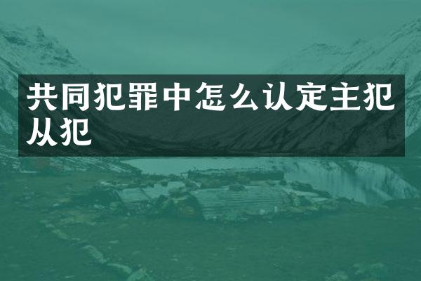 共同犯罪中怎么认定从犯