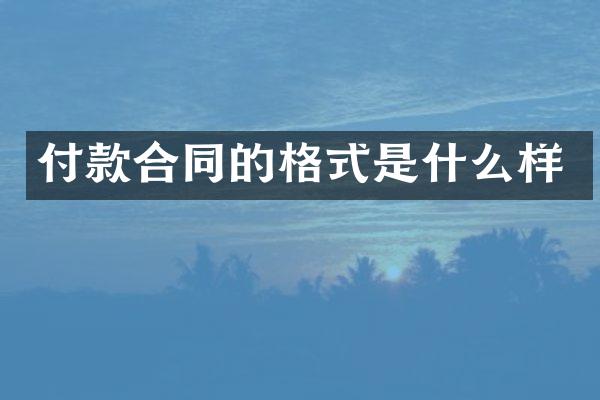 付款合同的格式是什么样