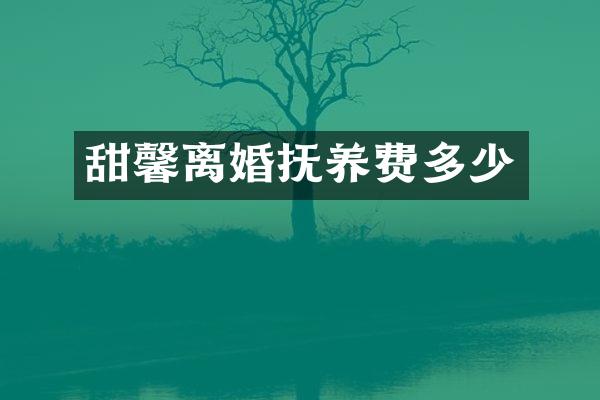 甜馨离婚抚养费多少