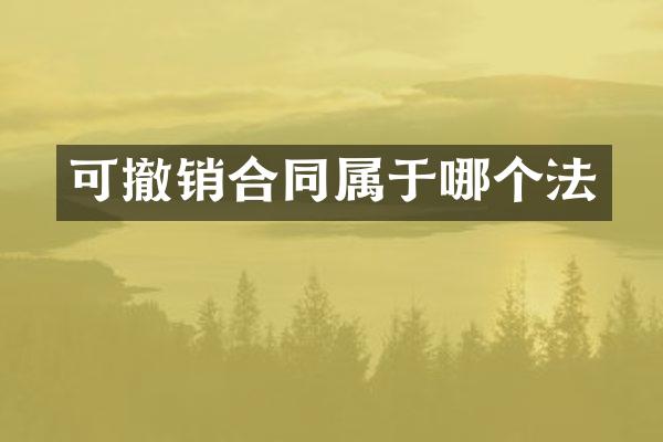 可撤销合同属于哪个法