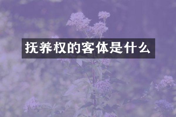 抚养权的客体是什么