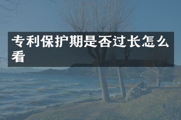 专利保护期是否过长怎么看